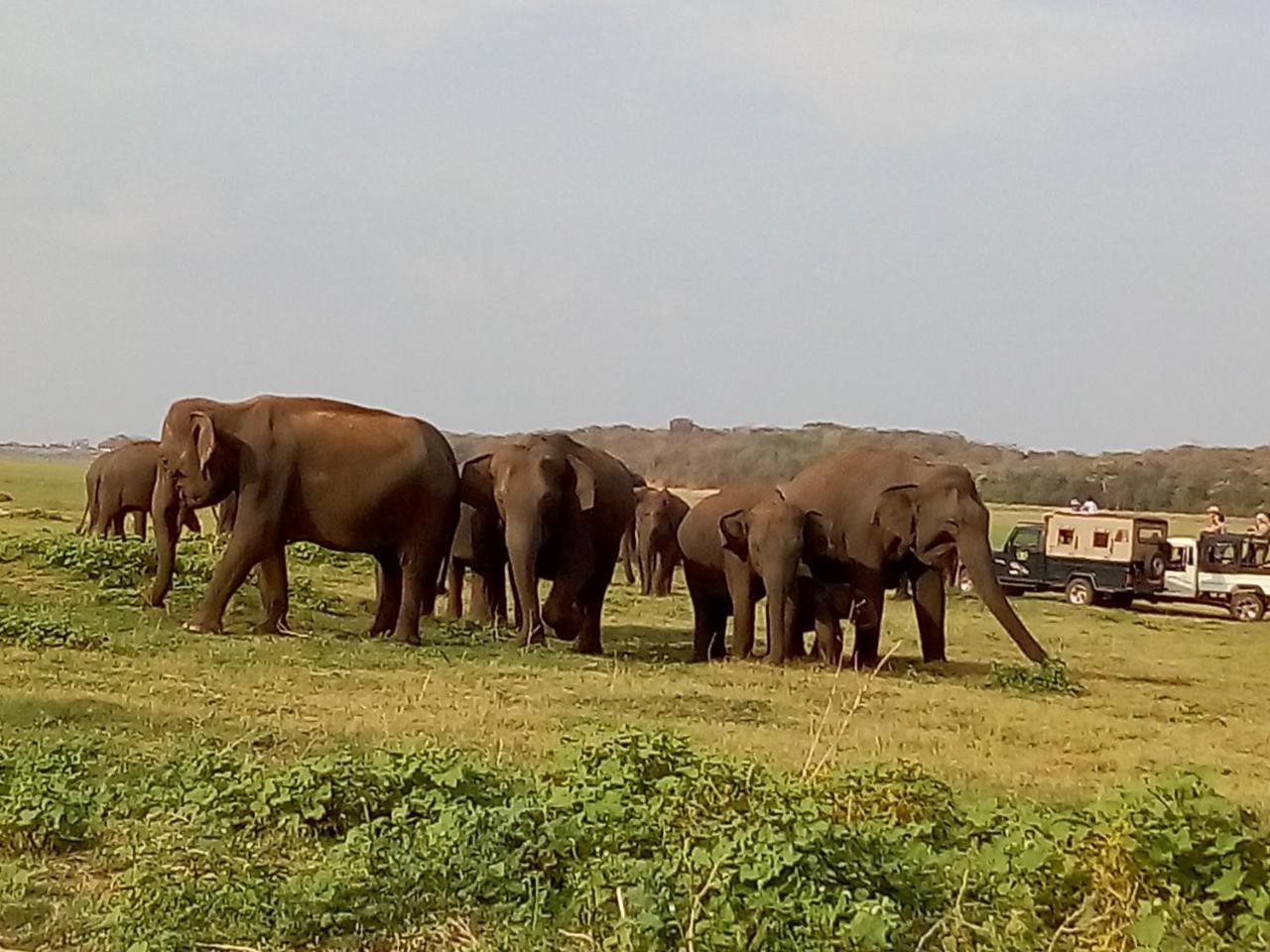 River Nature Park Polonnaruwa Exterior foto